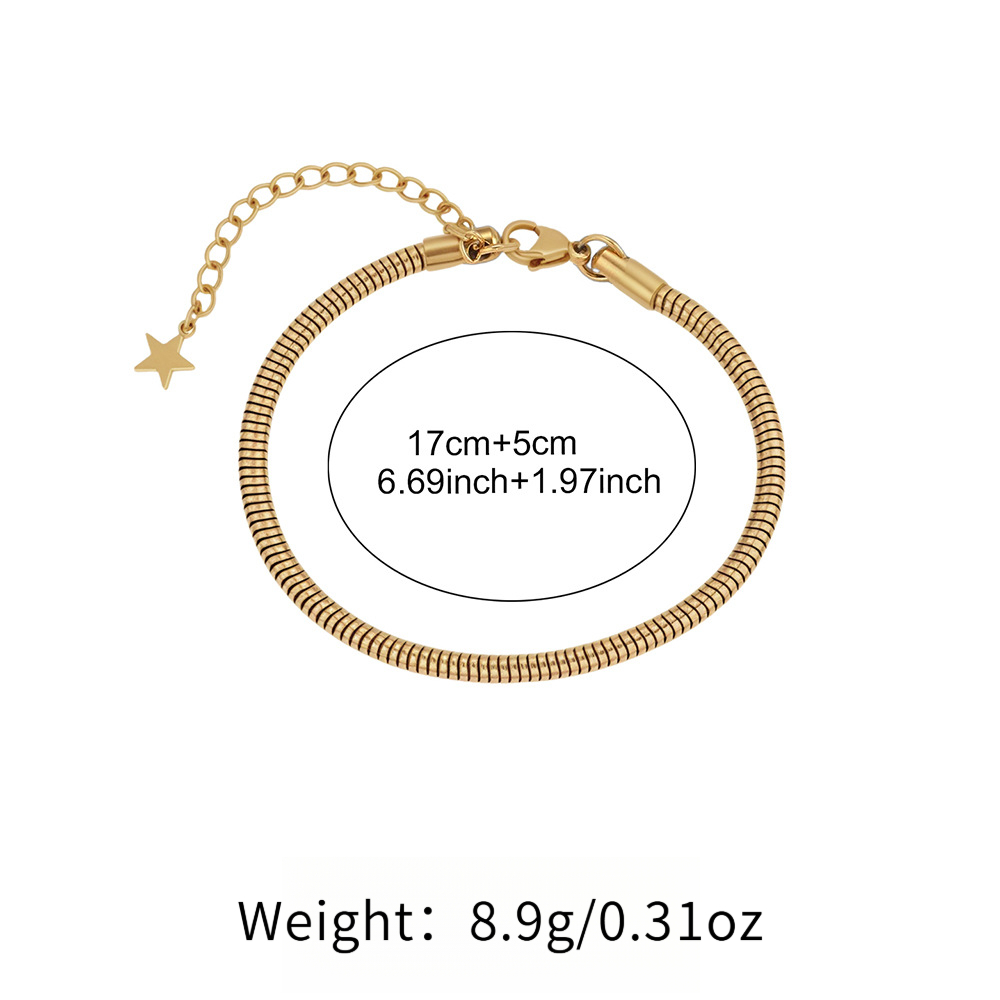 Women's Simple Stainless Steel Snake Chain Bracelet